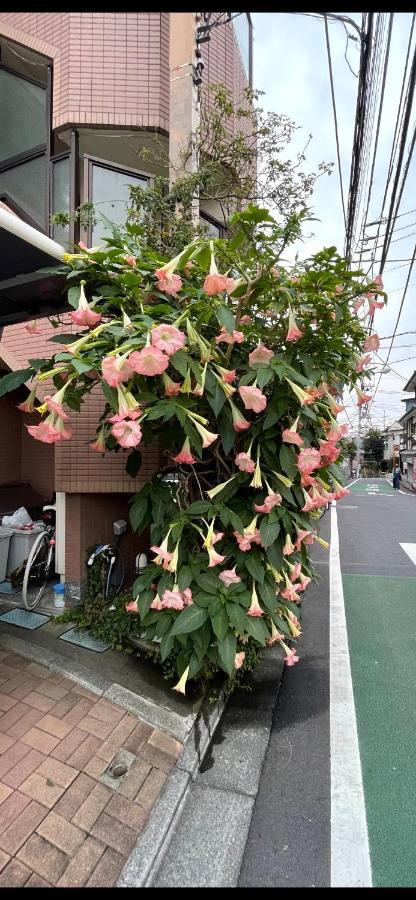 都心の家30 Square Meter King Size Bed With Stepping Rice Tokyo Exterior photo